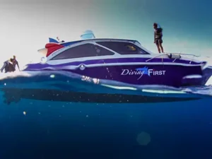 Daily dive trip komodo with Manta