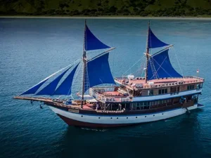 Komodo Liveaboard with Diving First, swim with Manta, pink beach, hike to padar island